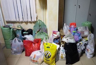 ���� ������ ���