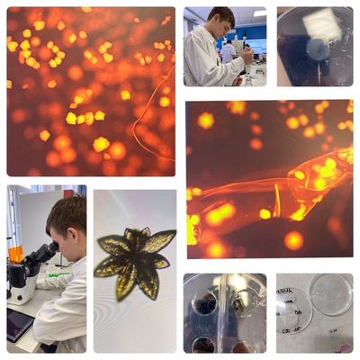 ������ 623 ����� ���� ������� ������������ XV ������������� ��������-��������� ��������������� � ������ � �������!�