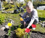 ������� ����