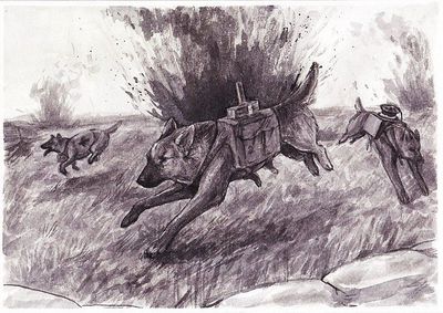 ������� 65 ����� � ���������� �������������� �������� ��������