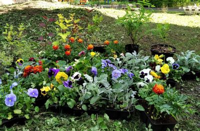 #��������� #������������