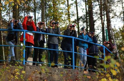 ������������ �������� ������������� � �����������