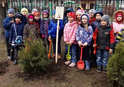 ��� ������