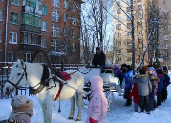 ������� ����. ���������