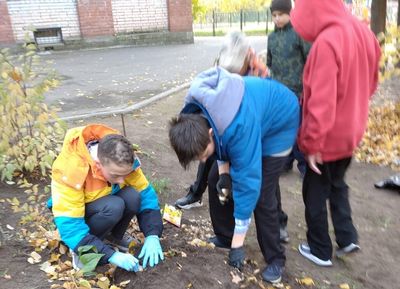 �������� ���� �������