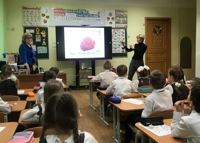 ���� ������ �������������� ����� ����������� 79 ��������� ������� ������ ������� ���������� ������ � 130 �����������