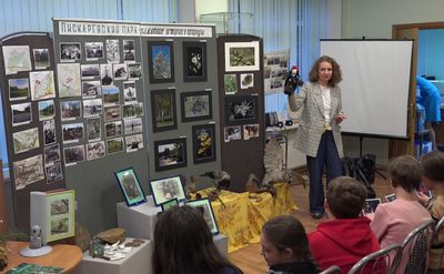 ����������� ����� �������� � ����� �������: �� �������� � �������