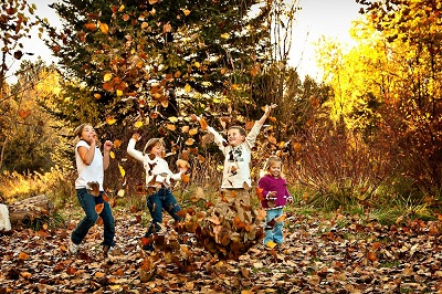 � �������������� ������� �� ������� �������� �������� 2022 ����