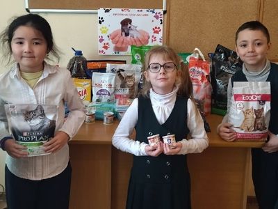 ������� ���� ������! 