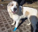 Любая помощь важна и ценна