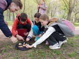 Квест «Экологическая цепочка» в парке Сосновка 